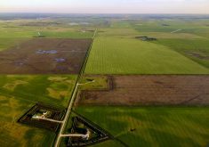 According to Statistics Canada, approximately 40 percent of Canadian farmland is rented, and farmland pricing across the country has been on a steady upward trajectory.