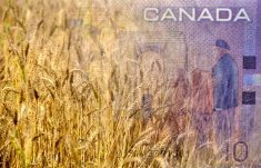 A good benchmark for working capital-to-expenses for your farm is 50 per cent.