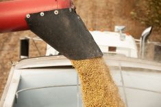 (BanksPhotos/iStock/Getty Images)
