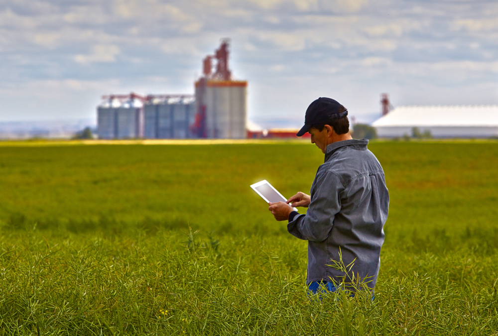 ‘Farms that are good at change are the successful ones.’