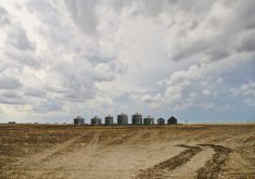 From wetter springs that delay seeding to heat stress on crops during critical growing periods, the list of potential effects from climate change is a long one.