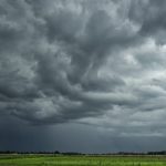 Photo: SusanneSchulz/iStock/Getty Images