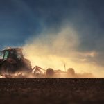 Photo: valio84sl/iStock/Getty Images Plus
