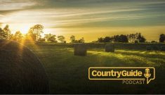Country Guide podcast promo image