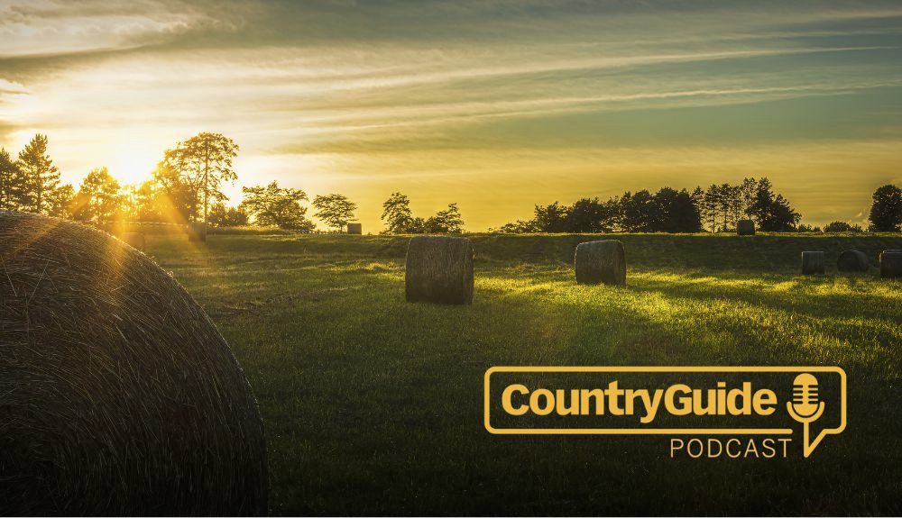 Country Guide podcast promo image