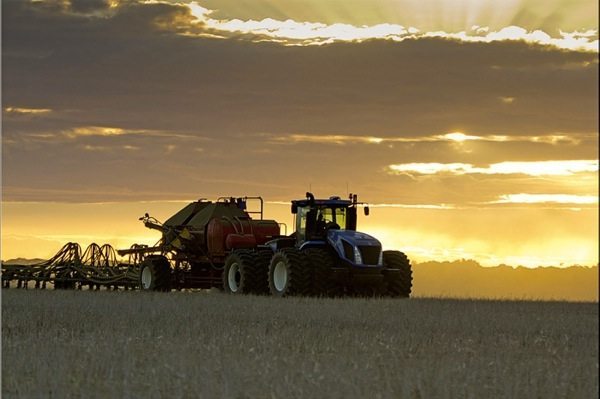 Saskatchewan Crop Report: Half of field pea, lentil acres seeded