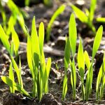 Photo: Thinkstock