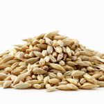 The federal government has invested over $5 million to spur growth and resilience in the barley sector. Photo: InnaTarasenko/iStock/Getty Images Plus