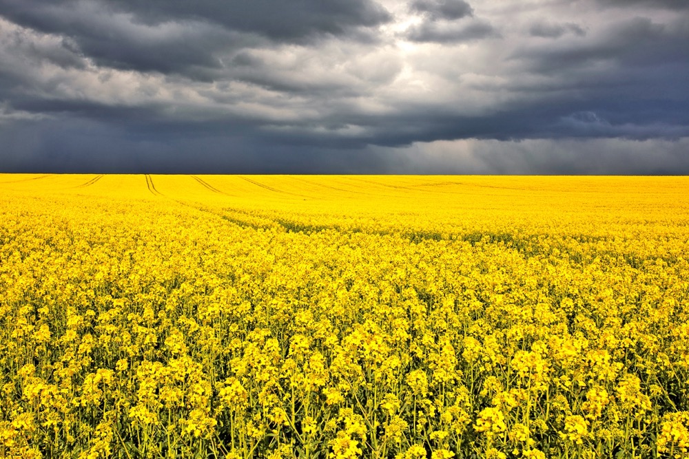 Photo: Thinkstock
