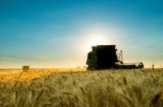 Photo: Thinkstock
