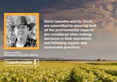 Summer Series: Podcast with Norm Lamothe