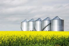 Photo: Thinkstock