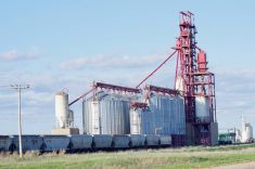 A train of grain cars stops at Cargill’s elevator near Nesbitt, Man. Photo: Alexis Stockford