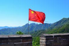 (Gassen/iStock/Getty Images)
