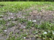 Hail in a yard west of Somerset, Manitoba, June 12, 2024.  Photo: Alexis Stockford/File
