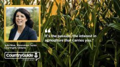 Summer Series: Podcast with Julie Maw