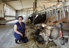 Jennifer Peart of Erie View Farms.