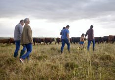People are always at the heart of farm transition and life insurance. This plan can’t possibly work unless your family can have open and honest discussions about the future of the farm.