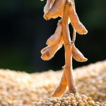 Photo: Thinkstock