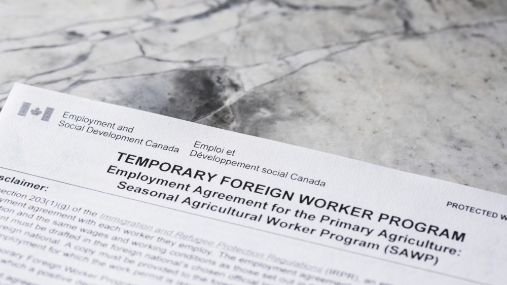 Photo: powerofforever/iStock/Getty Images
