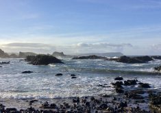 “I would say, take every opportunity available to you... you will always learn something.” – Amelia Judge.