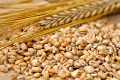 “If there’s lots of grain, the prices will be down. If there’s not, the prices will be pretty good.” Photo: Thinkstock