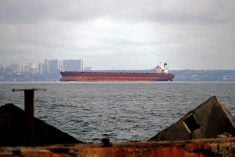 A vessel is seen arriving at Odesa in southern Ukraine under the Black Sea Grain Initiative on April 12, 2023. (Photo: Yulii Zozulia/Nurphoto via Reuters Connect)