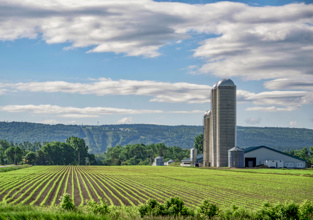 Many farming operations are run through one or more corporations, which adds additional layers of complexity for transferring the underlying assets.