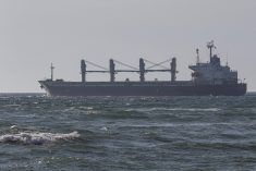 A Panama-flagged bulk carrier, Ikaria Angel, leaves Ukraine’s port of Chornomorsk with wheat for Ethiopia on Sept. 17, 2022. (File photo: Reuters/Serhii Smolientsev)