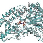Is this the molecule to give farmers free phosphorus?