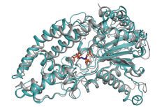 Is this the molecule to give farmers free phosphorus?
