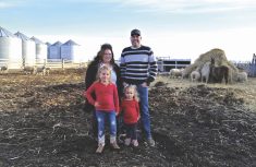 farm family standing in a sheep corral