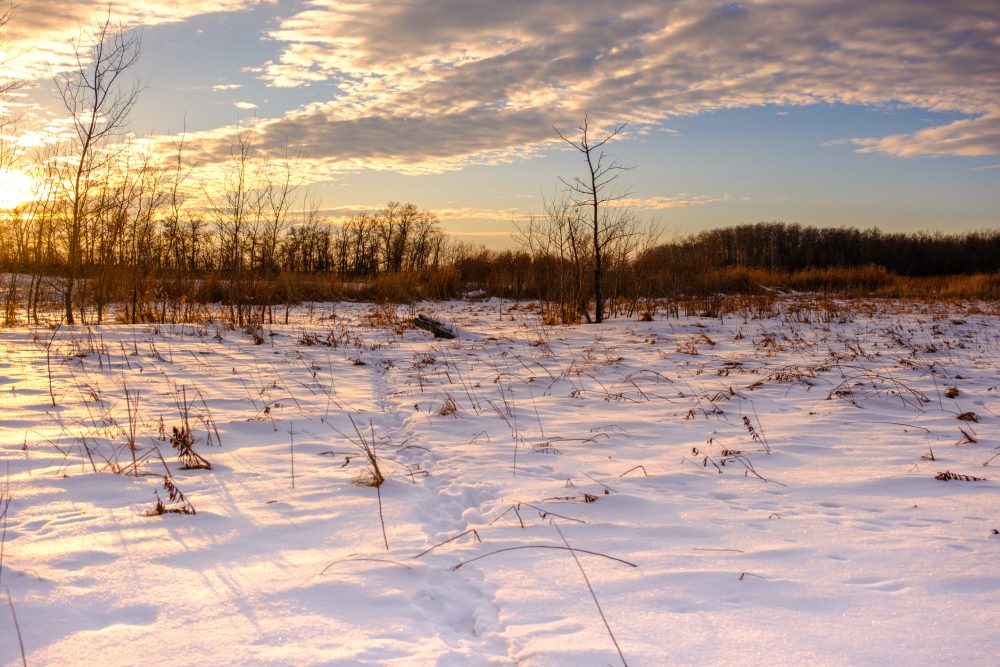 Tim French/iStock/Getty Images
