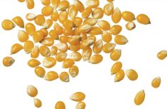 Photo: Thinkstock