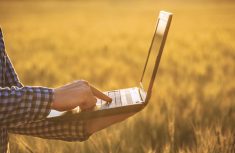 Man in a field of ripe wheat holding a laptop in his hands