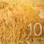 Organic wheat prices have doubled compared to last spring, says a director with the Manitoba Organic Alliance. Photo: Thinkstock