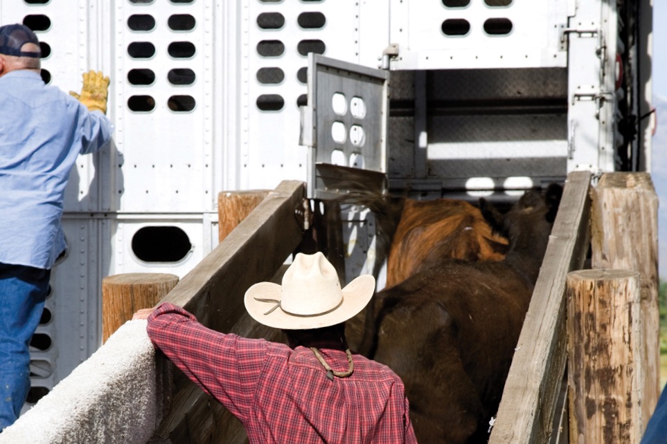 (Sierrarat/iStock/Getty Images)
