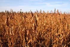 (Sakakawea7/iStock/Getty Images)
