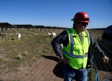 Chad Raines looks at the solar farm where his sheep graze in Haskell, Texas, U.S. December 2, 2024. Raines gets contracts with solar farms across the country, such as in Arkansas, Louisiana and Texas; to have his sheep graze and maintain the vegetation. REUTERS/Annie Rice
