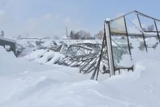 The remains of a collapsed greenhouse at Avon Valley Floral after major snowfall in February 2015.