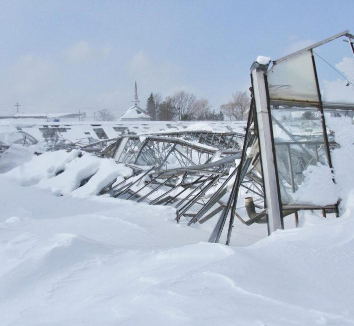 Nova Scotia greenhouse rebuilds after severe snow storm