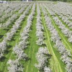 Gen Z farmers are leading the way
