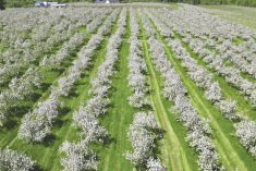 Gen Z farmers are leading the way