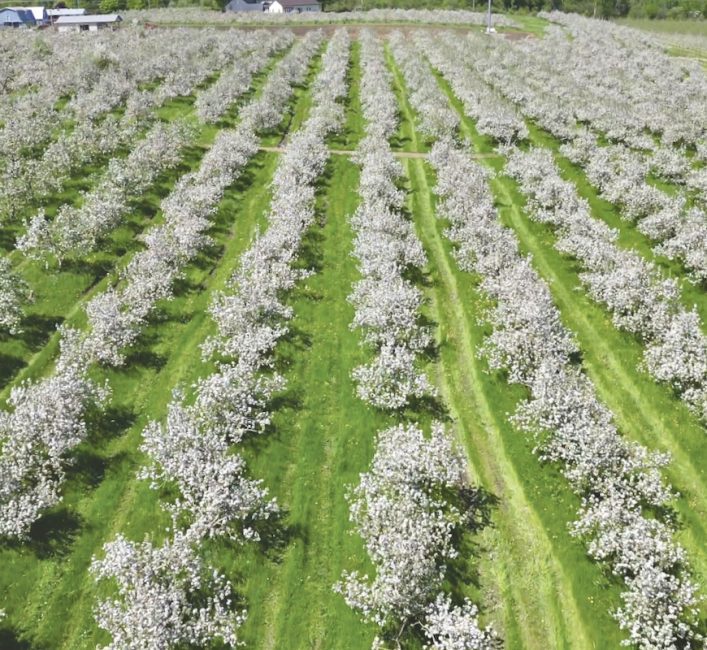 Gen Z farmers are leading the way