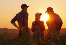 A group of farmers are discussing in the field, using a tablet. Two men and one woman. Team work in agribusiness.