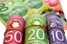 Canadian Dollars White Background