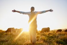 Sunrise, cow and woman on farm with open arms for freedom, adventure and excited for agriculture. Sustainable farming, morning and back of farmer with cattle, livestock and animals in countryside