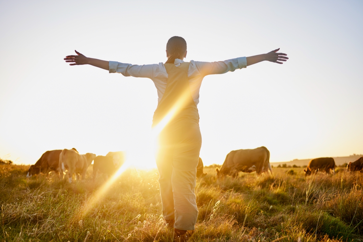 Sunrise, cow and woman on farm with open arms for freedom, adventure and excited for agriculture. Sustainable farming, morning and back of farmer with cattle, livestock and animals in countryside