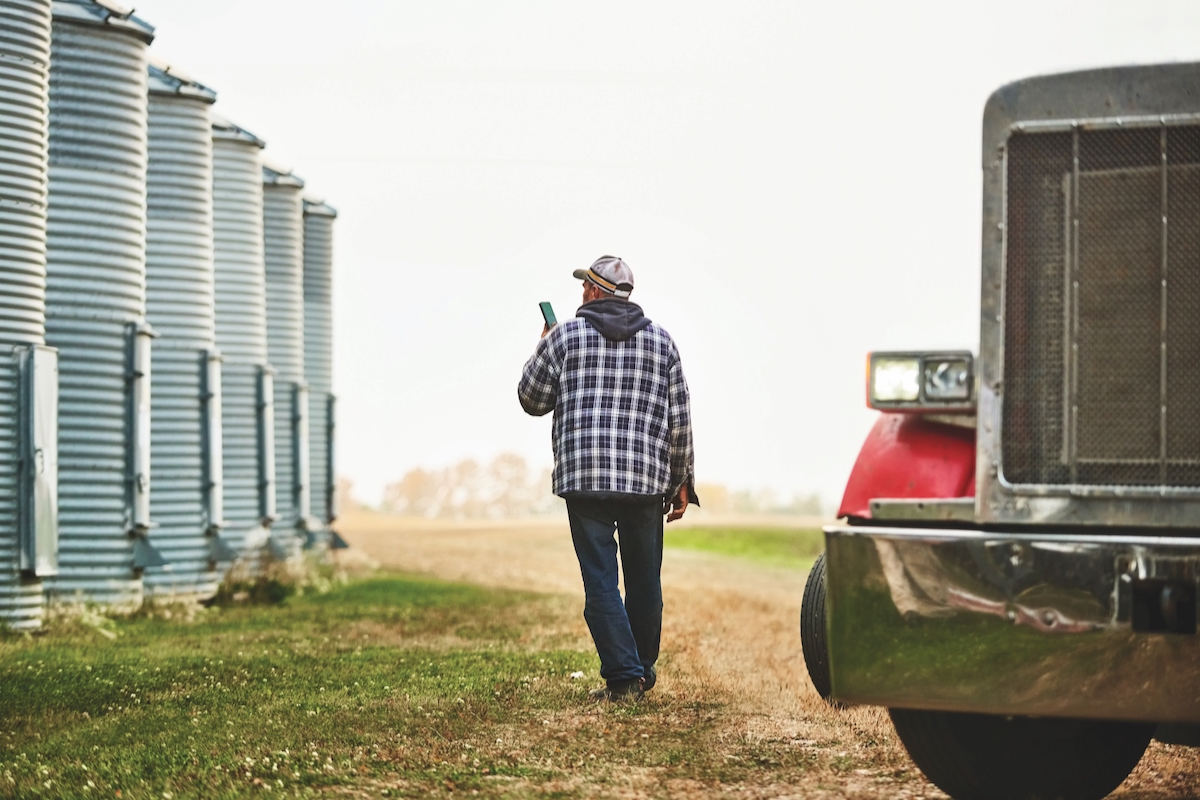 Rear view of a male farm worker with phone walking outside along the large grain storage silos on farm