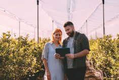 A man and woman use a tablet to analyze plants inside a sunny greenhouse